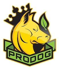 ProDog Raw